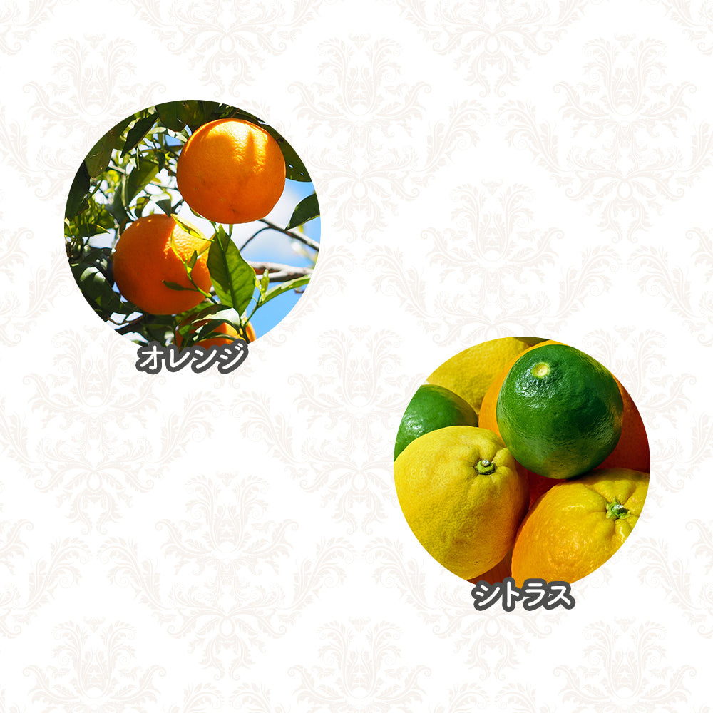 オリバーリッチ 水溶性アロマ チィアーアップ