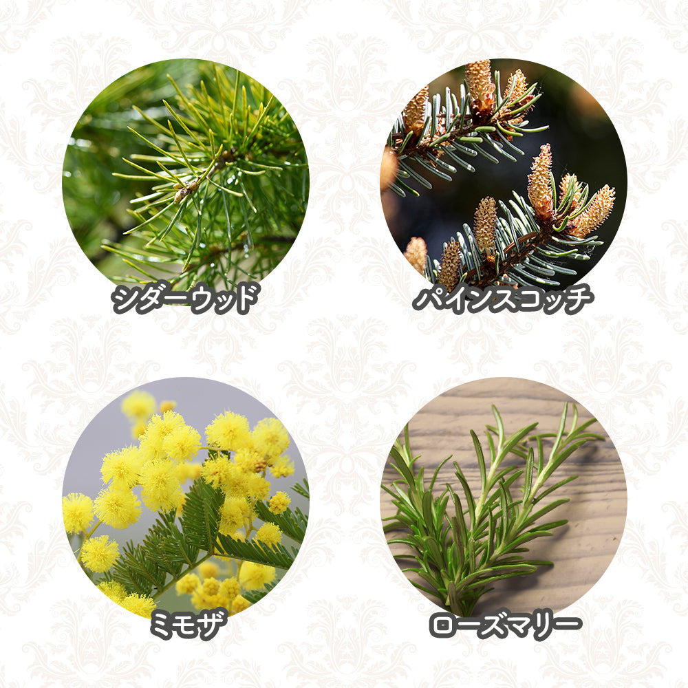 オリバーリッチ 水溶性アロマ グリーンフォレスト