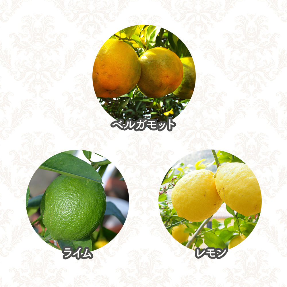 オリバーリッチ 水溶性アロマ レモンライム