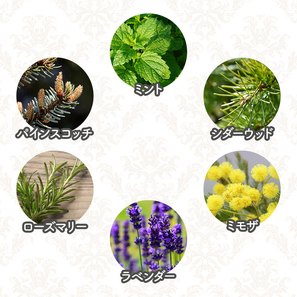 オリバーリッチ 水溶性アロマ モーニング キス