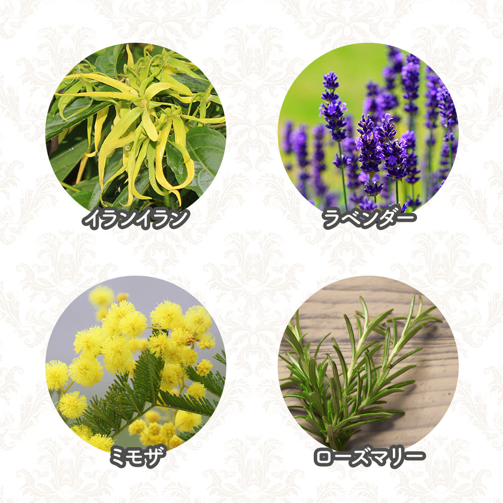 オリバーリッチ 水溶性アロマ パッション